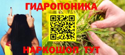 гидропоника Татарск