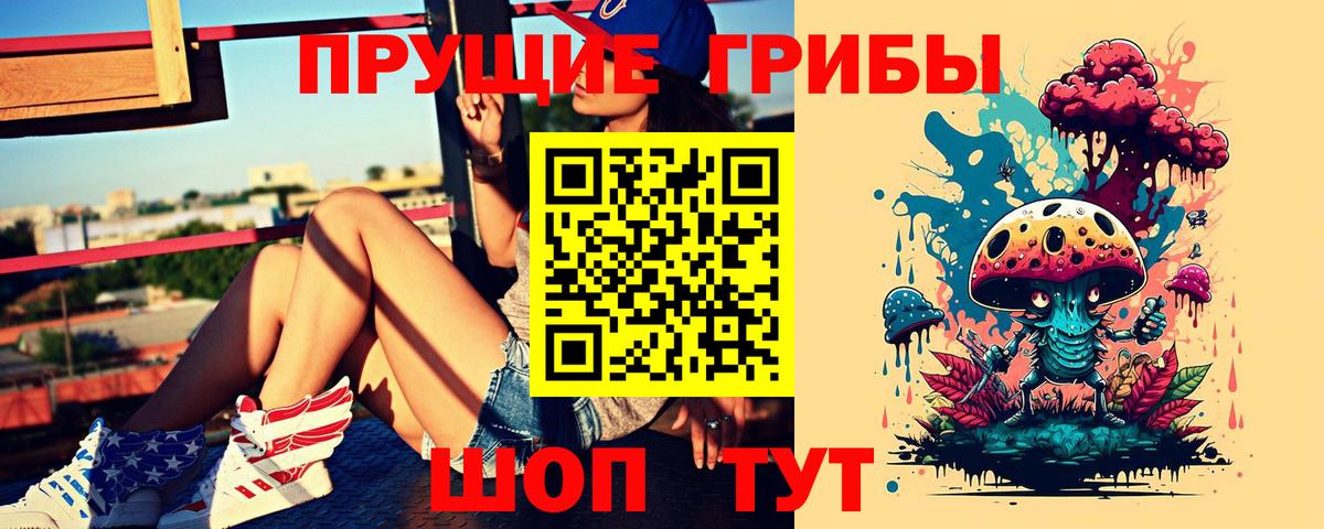 Галлюциногенные грибы GOLDEN TEACHER  Вход с VPN  Альметьевск 